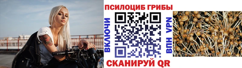Псилоцибиновые грибы MAGIC MUSHROOMS  купить наркотики цена  Игра 